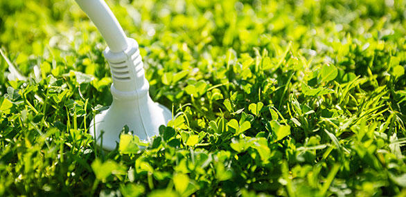 586x285-politica-medioambiental 586x285-politica-medioambiental